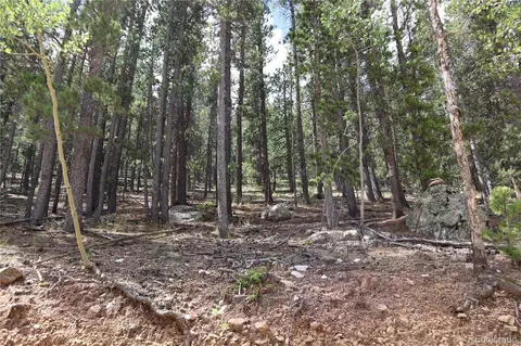 430 Lakeview Rd, Bailey, CO 80421 photo 5