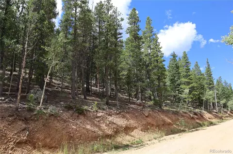 430 Lakeview Rd, Bailey, CO 80421 photo 3