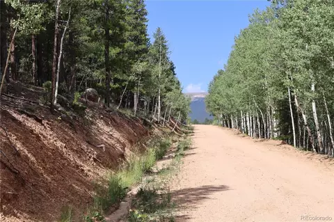 430 Lakeview Rd, Bailey, CO 80421 photo 4