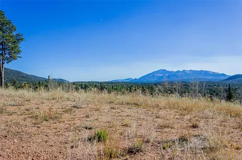 300 Apache Trl, Woodland Park, CO 80863