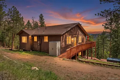 Exterior - 181 Catamount Ridge Rd, Bailey, CO 80421 photo 8 of 8