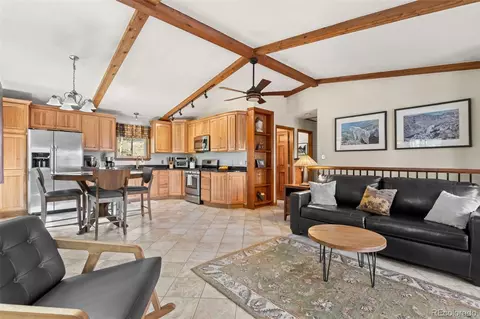 Living - 181 Catamount Ridge Rd, Bailey, CO 80421 photo 7 of 8