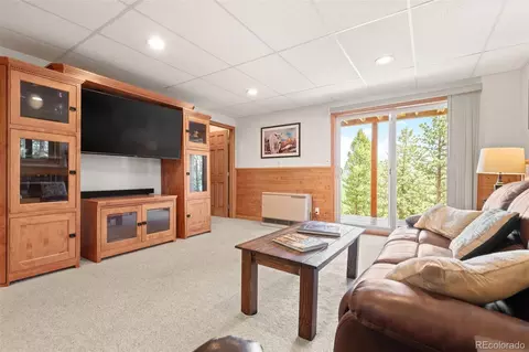 Other - 181 Catamount Ridge Rd, Bailey, CO 80421 photo 9 of 17