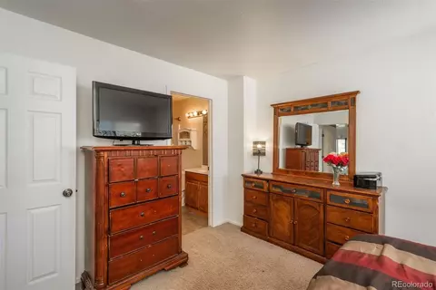 18673 E 43rd Pl, Denver, CO 80249 photo 24