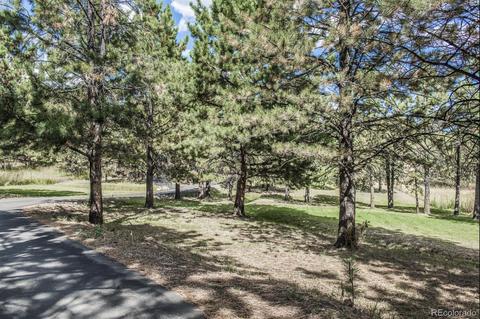 347 Yellow Pine Dr, Bailey, CO 80421 photo 30
