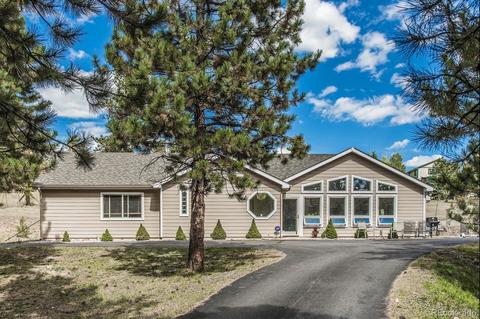 347 Yellow Pine Dr, Bailey, CO 80421 photo 1