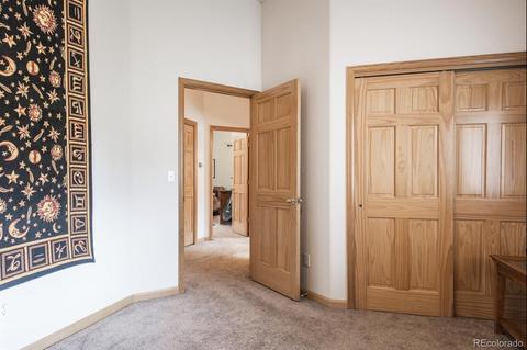 347 Yellow Pine Dr, Bailey, CO 80421 photo 22