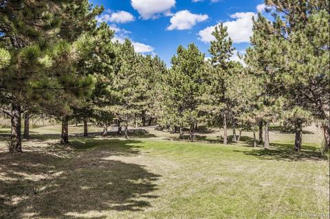 347 Yellow Pine Dr, Bailey, CO 80421 photo 2