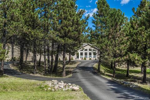 347 Yellow Pine Dr, Bailey, CO 80421 photo 33