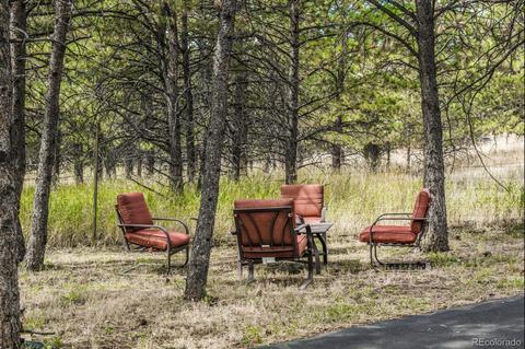 347 Yellow Pine Dr, Bailey, CO 80421 photo 29