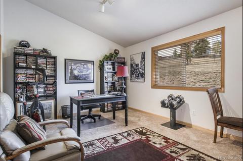 347 Yellow Pine Dr, Bailey, CO 80421 photo 24