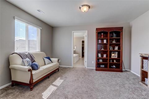 12110 Pine Post Dr, Parker, CO 80138 photo 25