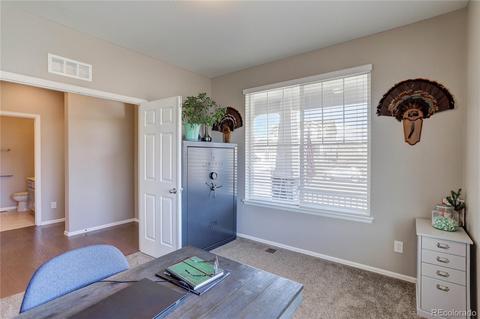 12110 Pine Post Dr, Parker, CO 80138 photo 21