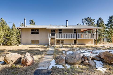 20 Overlook Ln, Bailey, CO 80421 photo 1