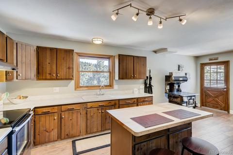 20 Overlook Ln, Bailey, CO 80421 photo 12