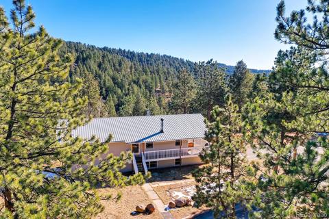20 Overlook Ln, Bailey, CO 80421 photo 29