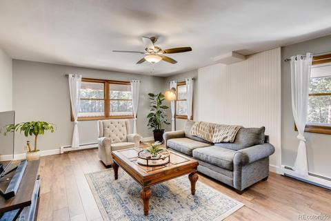 20 Overlook Ln, Bailey, CO 80421 photo 6