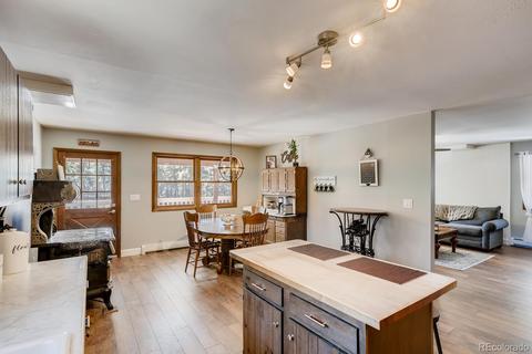 20 Overlook Ln, Bailey, CO 80421 photo 11