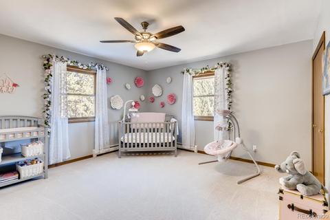 20 Overlook Ln, Bailey, CO 80421 photo 13