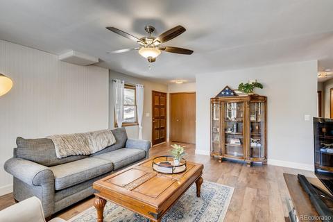 20 Overlook Ln, Bailey, CO 80421 photo 7