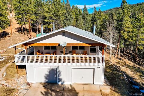 20 Overlook Ln, Bailey, CO 80421 photo 25