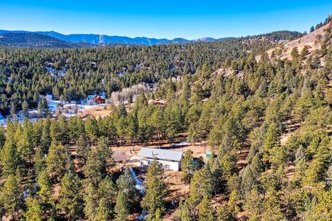 20 Overlook Ln, Bailey, CO 80421 photo 30
