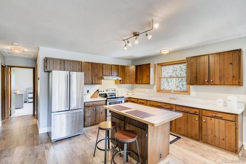 20 Overlook Ln, Bailey, CO 80421 photo 9