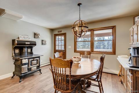 20 Overlook Ln, Bailey, CO 80421 photo 8