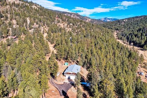 20 Overlook Ln, Bailey, CO 80421 photo 3