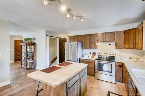 20 Overlook Ln, Bailey, CO 80421 photo 10