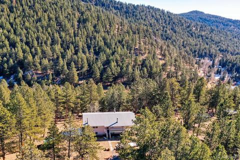20 Overlook Ln, Bailey, CO 80421 photo 4
