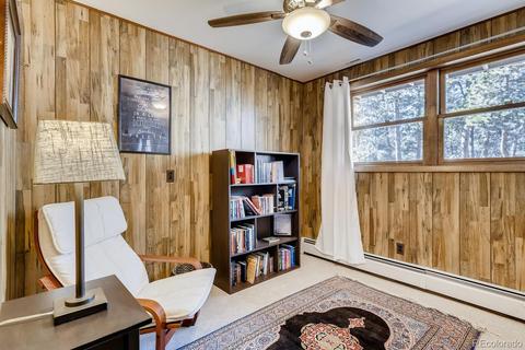 20 Overlook Ln, Bailey, CO 80421 photo 19