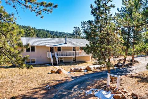 20 Overlook Ln, Bailey, CO 80421 photo 28