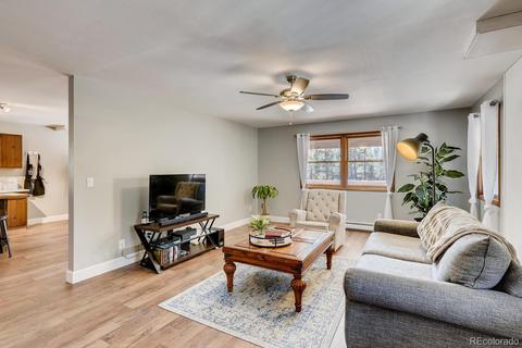 20 Overlook Ln, Bailey, CO 80421 photo 5