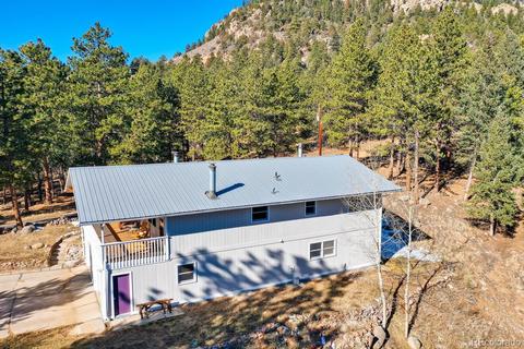 20 Overlook Ln, Bailey, CO 80421 photo 32