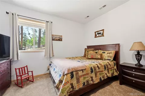 Bedroom - 705 Gold Flake Ter, Bailey, CO 80421 photo 6 of 6