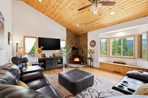 Living - 705 Gold Flake Ter, Bailey, CO 80421 photo 3 of 3
