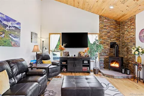 Living - 705 Gold Flake Ter, Bailey, CO 80421 photo 2 of 3