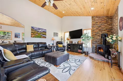 Living - 705 Gold Flake Ter, Bailey, CO 80421 photo 1 of 3