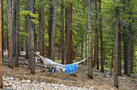 Other - 705 Gold Flake Ter, Bailey, CO 80421 photo 10 of 13
