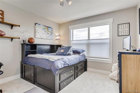 8740 E 29th Ave, Denver, CO 80238 photo 19