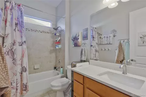 11641 Colony Loop, Parker, CO 80138 photo 33