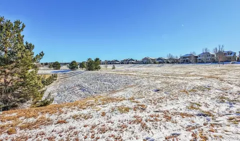 11641 Colony Loop, Parker, CO 80138 photo 48