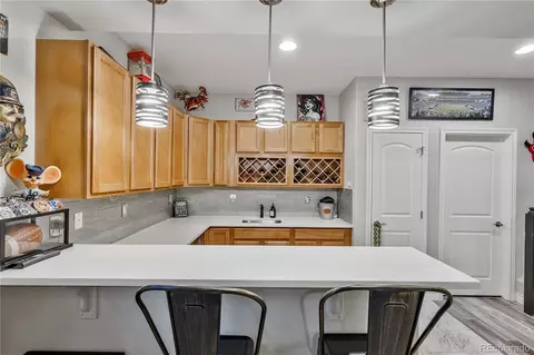11641 Colony Loop, Parker, CO 80138 photo 39