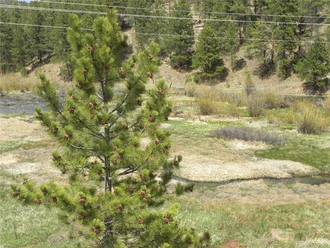 28207 Pine St, Pine, CO 80470 photo 15