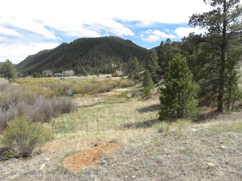 28207 Pine St, Pine, CO 80470 photo 7
