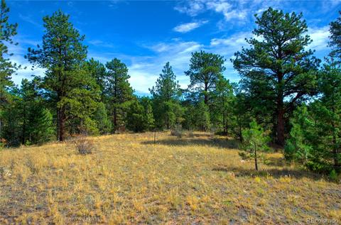 31986 Half Peak Trl, Pine, CO 80470 photo 7