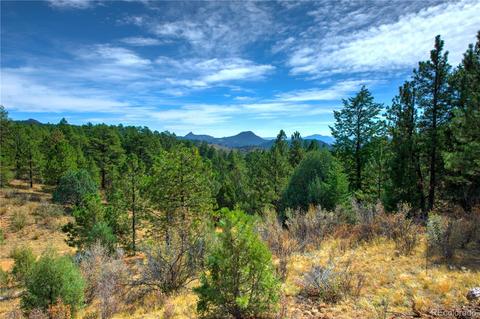 31986 Half Peak Trl, Pine, CO 80470 photo 3
