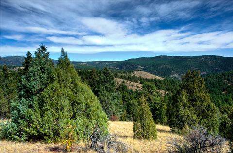 31986 Half Peak Trl, Pine, CO 80470 photo 13