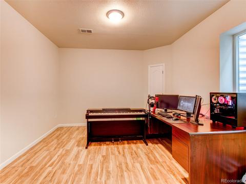 2230 Broadleaf Loop, Castle Rock, CO 80109 photo 34
